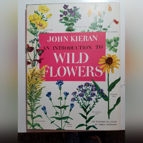 Rare 3 book set by John Kieran. An Intro to Nature. Birds, Wildflowers, Trees - Picture 5 of 11